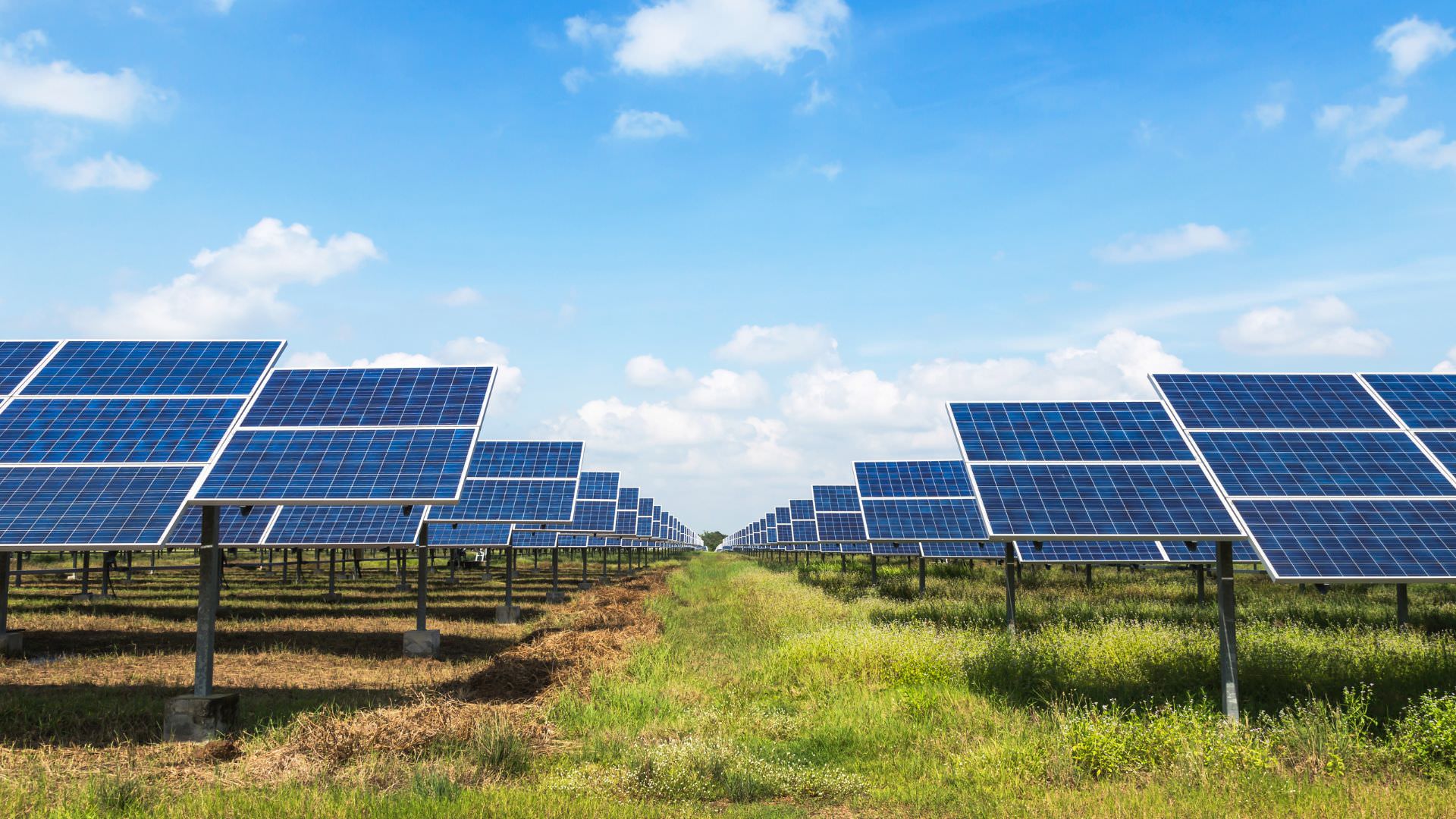 Kiedy Sprzedaż Energii na Rynku Hurtowym Jest Najbardziej Opłacalna